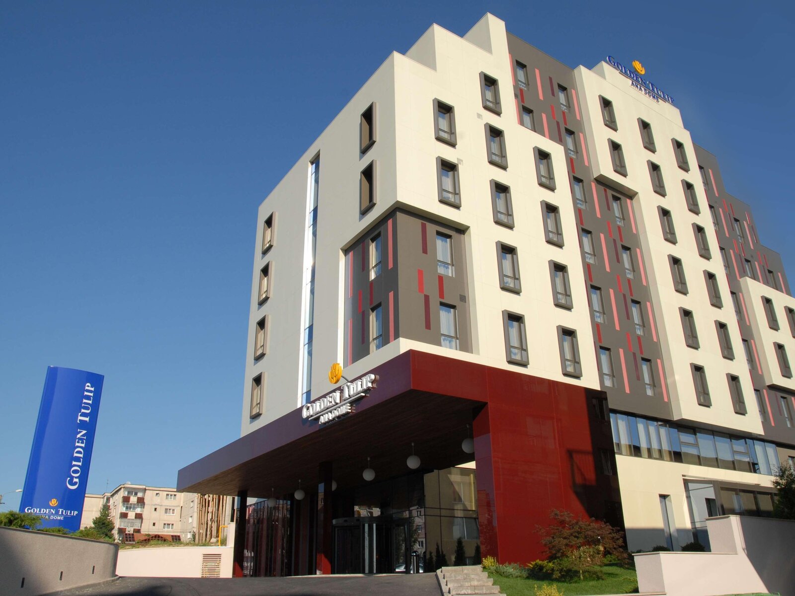 golden tulip